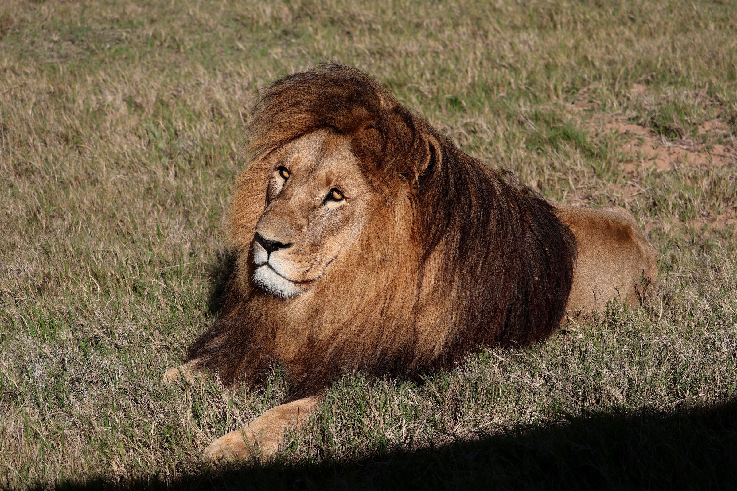 Tag 12 – Schotia Safaris